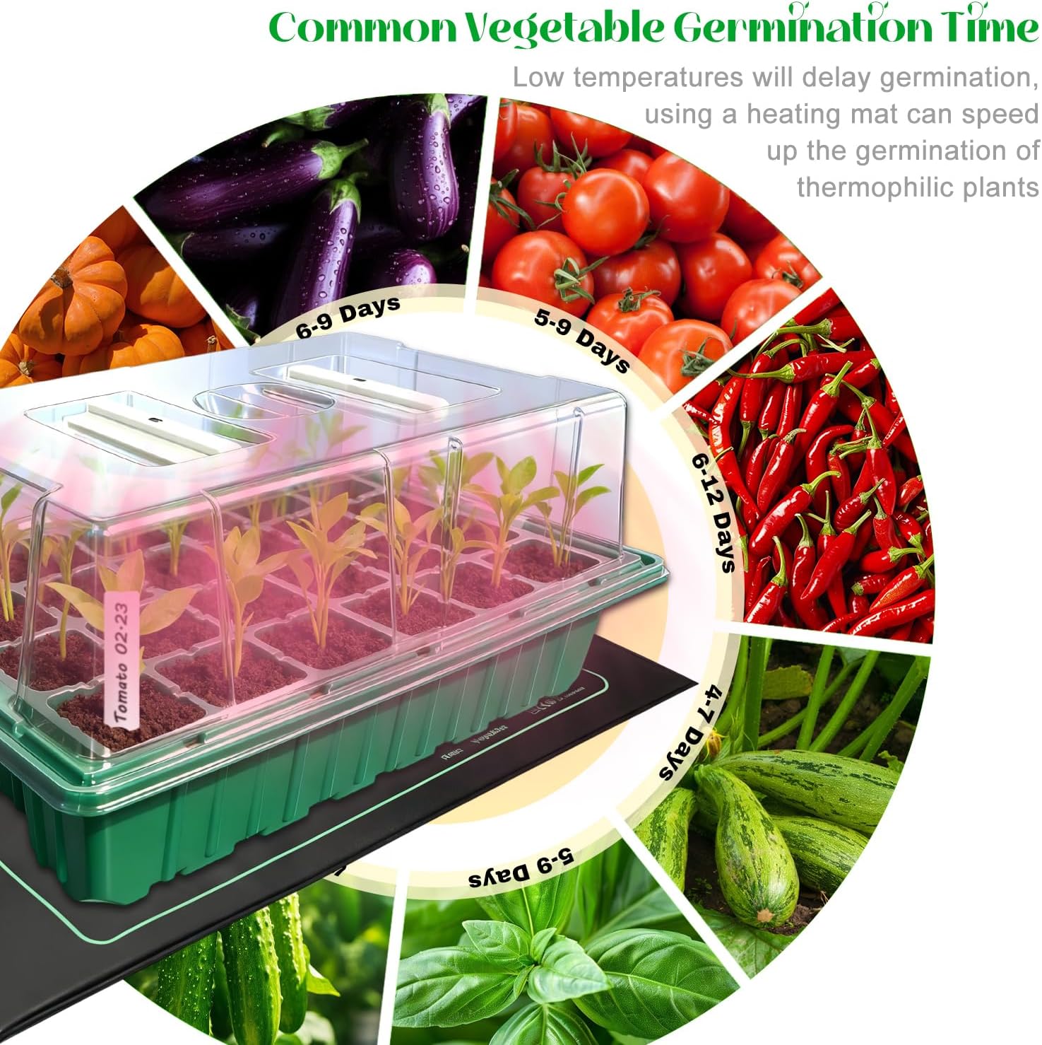 Seed Starter Trays with Grow Lights and Heat Mat for Seed Starting, Growing | Seed Starter Kit with Humidity Dome and