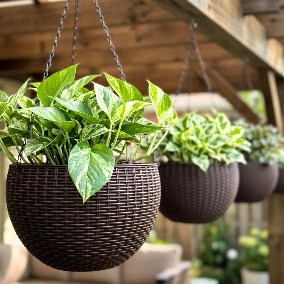 Shappy 1 Pack Boho Macrame Plant Hanger for Indoor