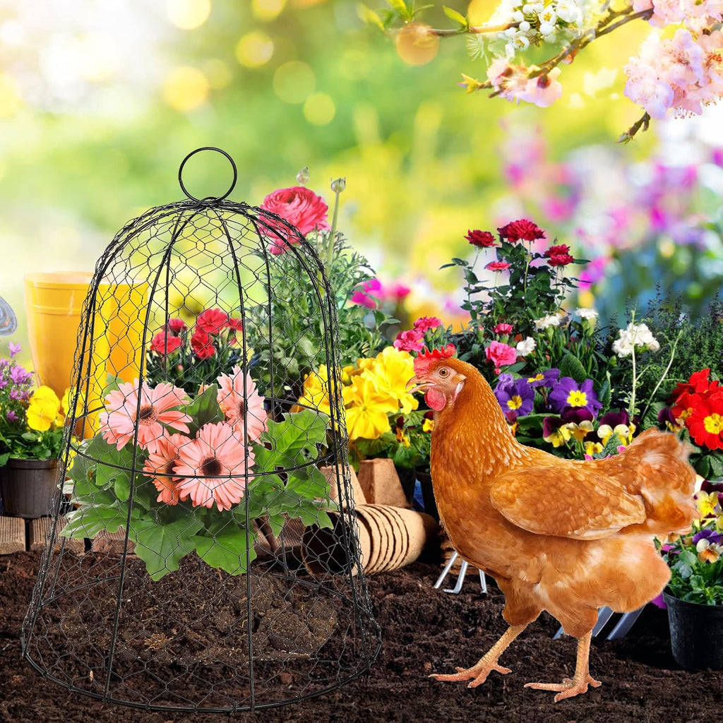 Coloch 5 Pack Garden Chicken Wire Cloche, 16x 13 Inches Black Dome Plant Protector Cover Strong Metal Garden Cloches