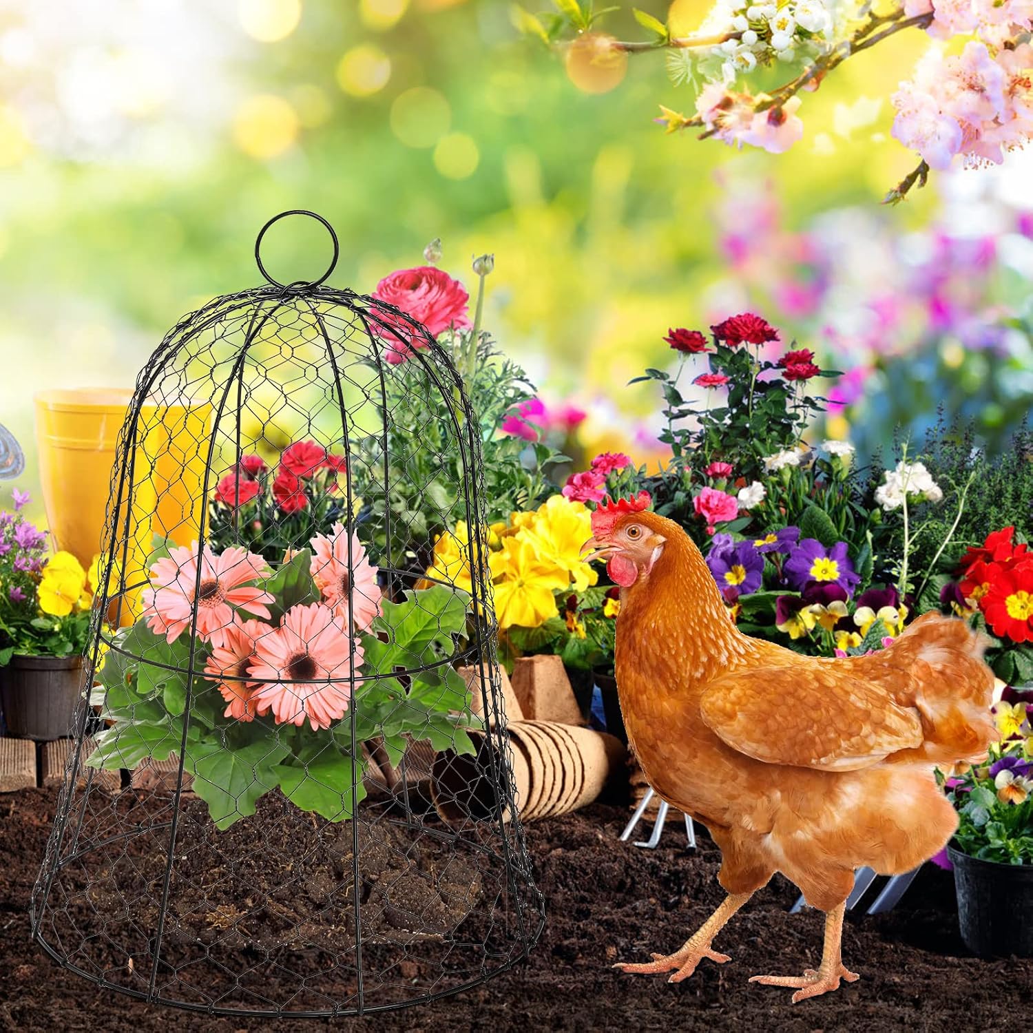 Coloch 5 Pack Garden Chicken Wire Cloche, 16x 13 Inches Black Dome Plant Protector Cover Strong Metal Garden Cloches