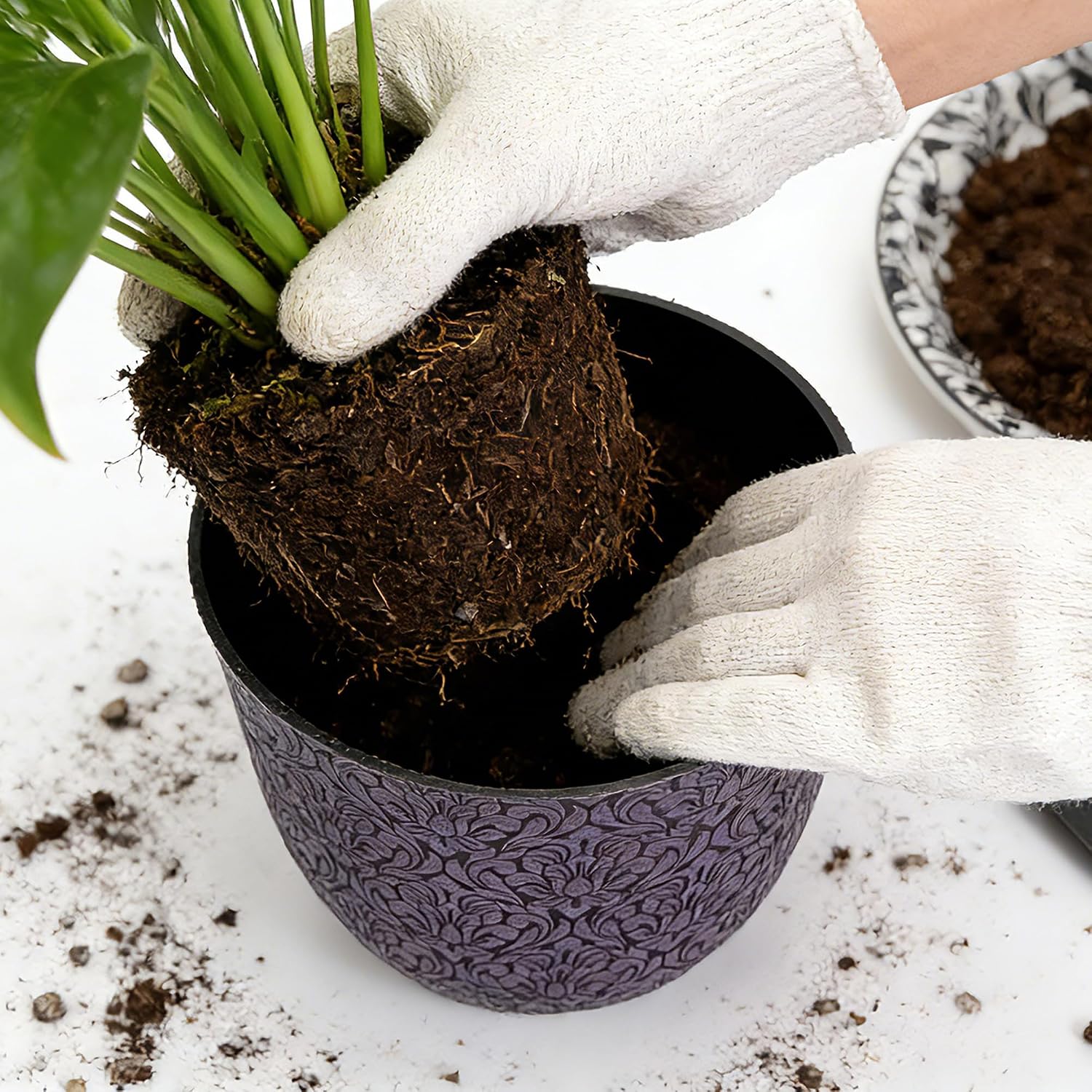 Worth Garden Plastic Round 8" Plant Pots for Indoor Plants - Set of 6 Multicolor Small Flower Pots W/Drainage Hole and