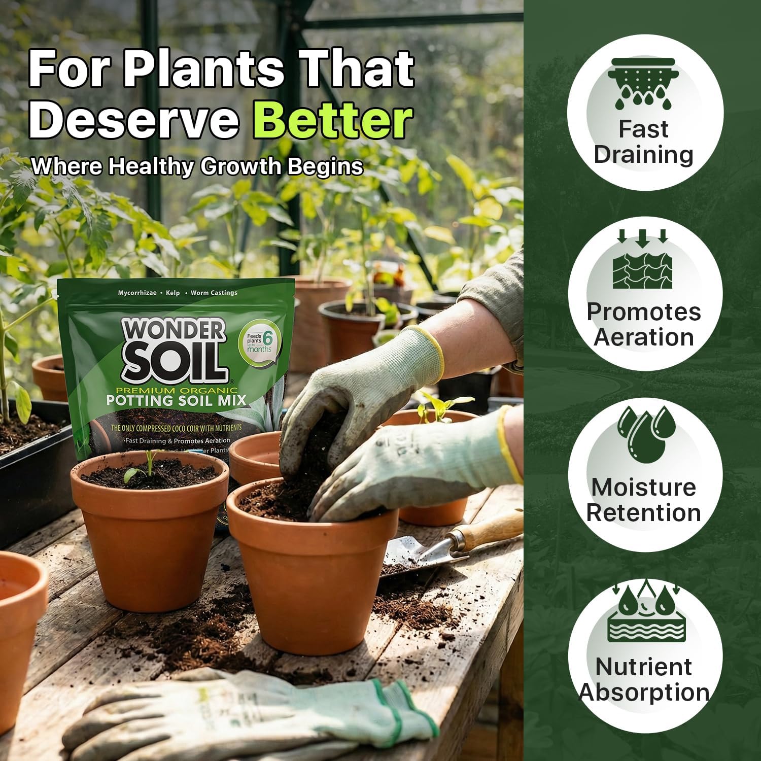 Organic Potting Soil | 12 QUARTS of Ready to Plant Coco Coir Fully Loaded with Nutrients | 3 LBS Bag Expands to 12