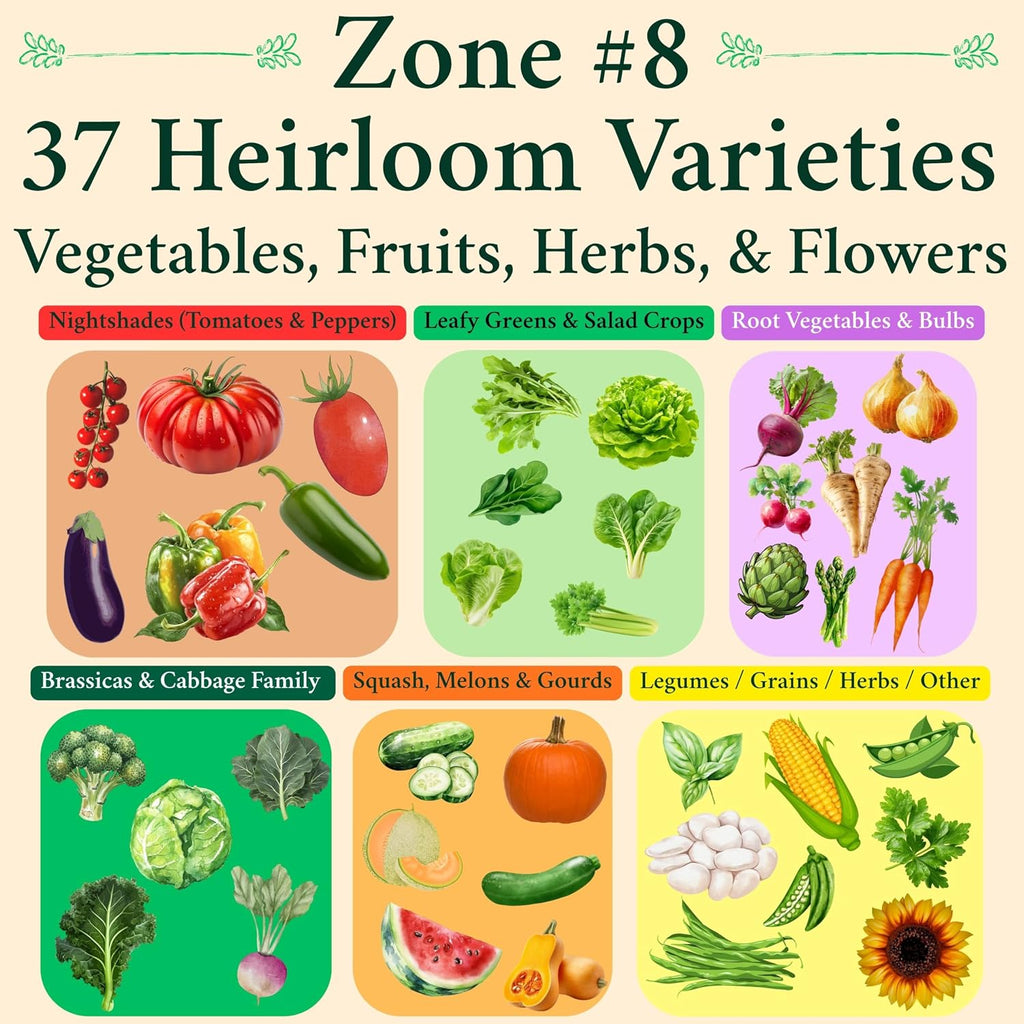 B&KM Farms Regional Garden Starter Kit – 37 Heirloom Varieties, 36,000+ Seeds – Non-GMO Vegetable & Herb Seeds for Deep