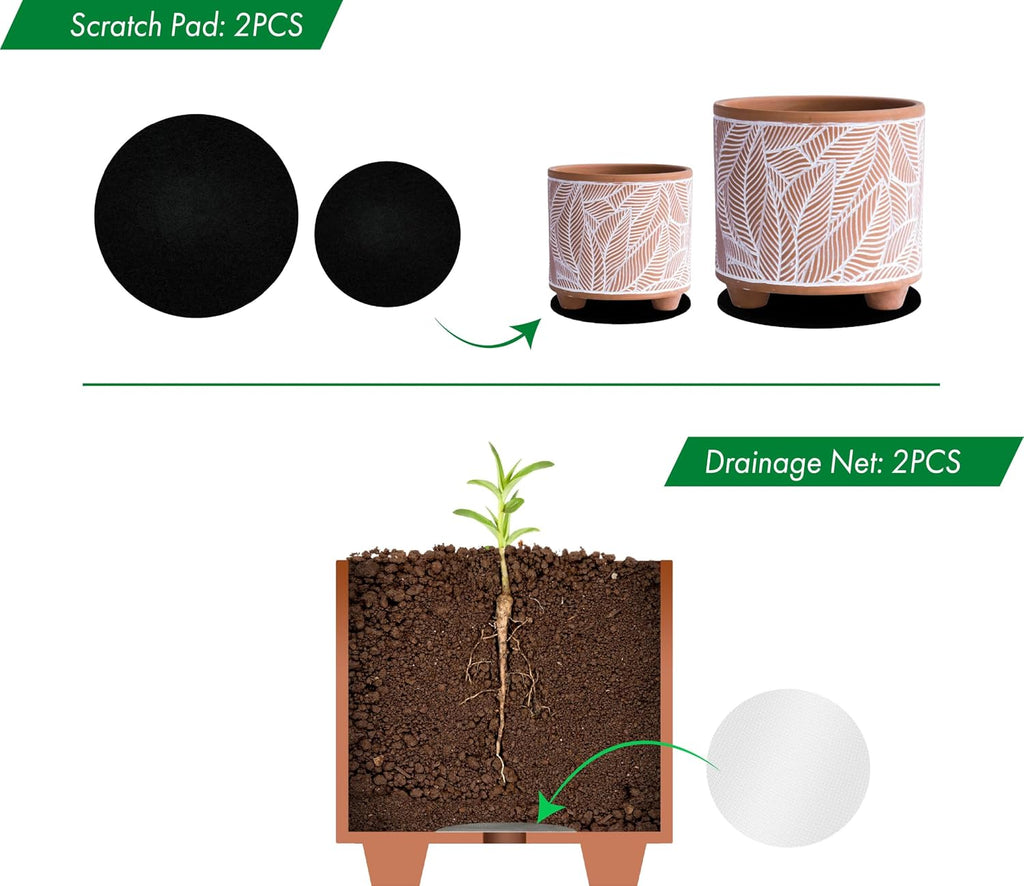D'vine Dev 2-Pack Terracotta Pots, 4/6 in, Sahara Fern, 31-953-H-1 | Hand-Painted Details, Three-Legged Design, Natural