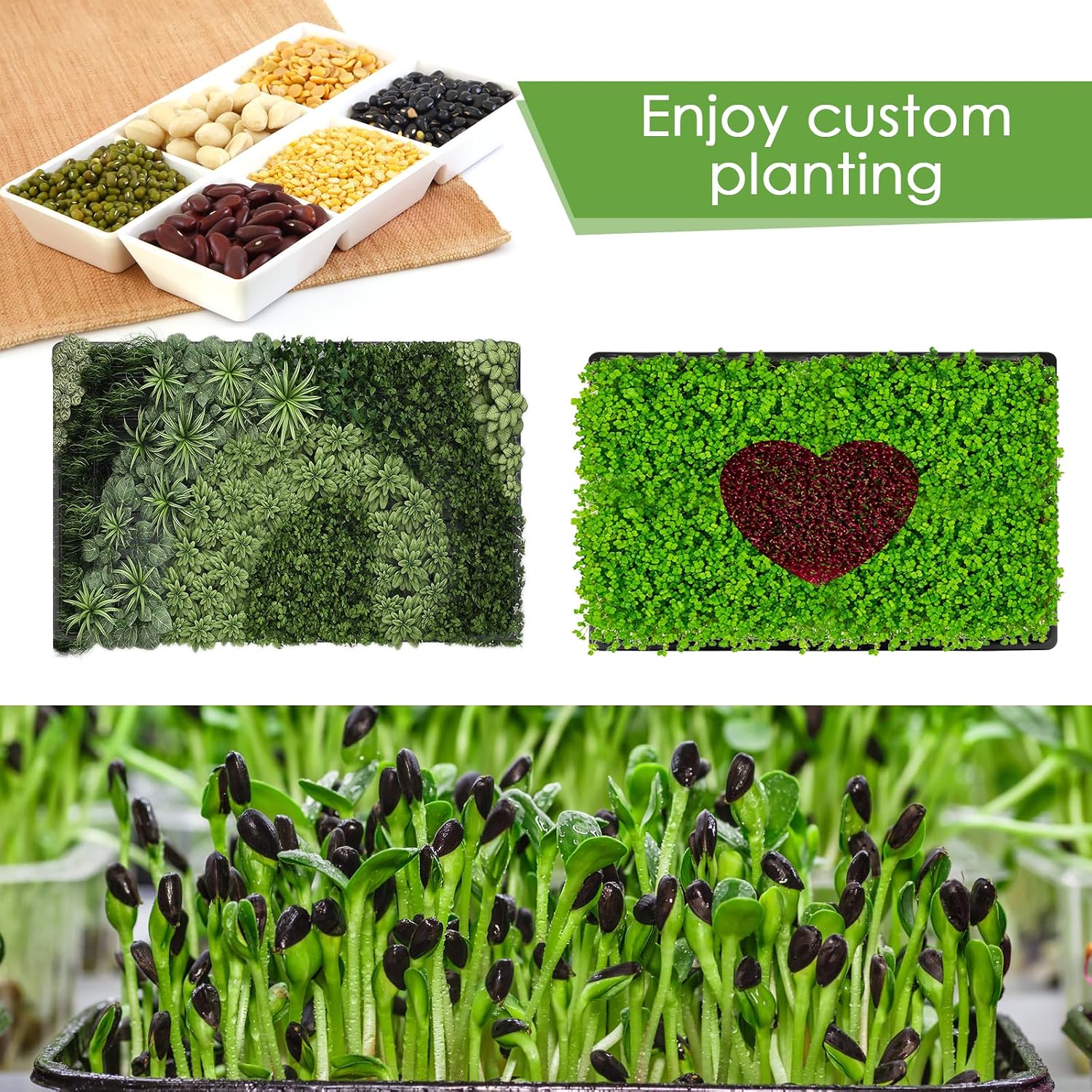6 Pack Microgreens Growing Kit, Microgreens Trays for Indoor Gardening | 6 reusable trays, 12 hemp fiber grow mats
