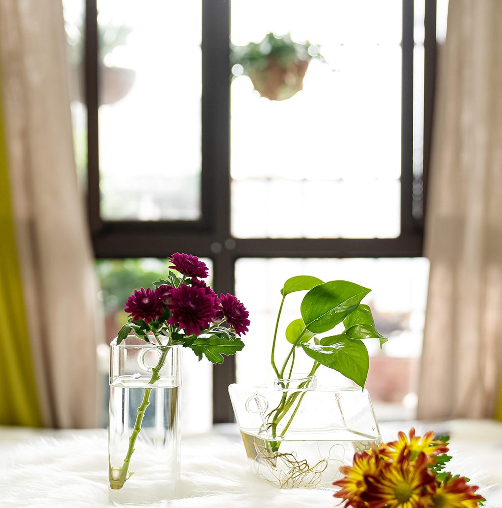 Square Glass Propagation Vase 4 Pack, Wall Hanging Hydroponic Planter | Borosilicate glass, clear & sturdy. Wall-mount.