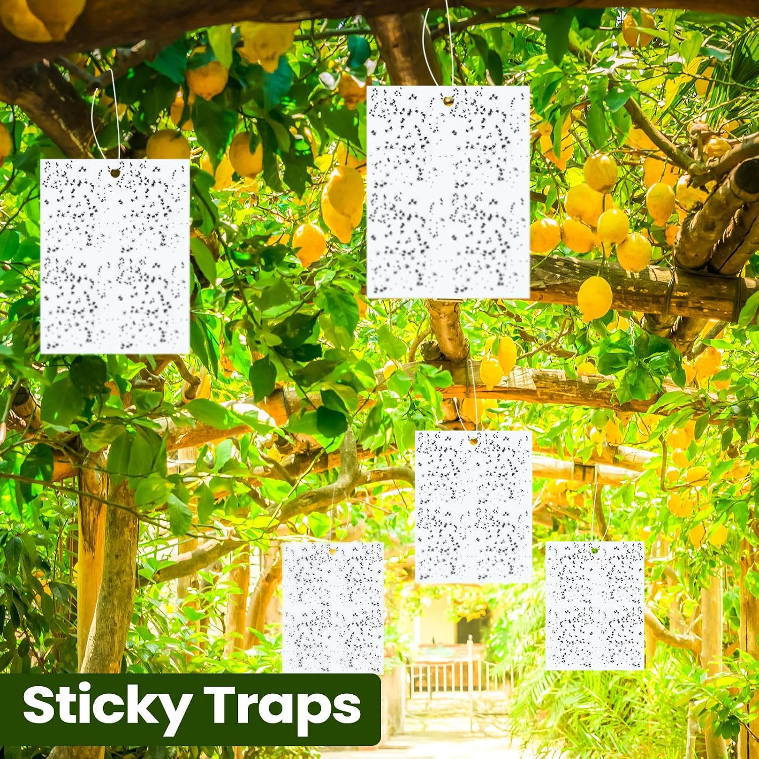 Qualirey 20 Pcs Yellow Sticky Traps 6x8in for Gnats Indoor | Dual-sided for Fungus Gnats Fruit Flies Whiteflies Thrips