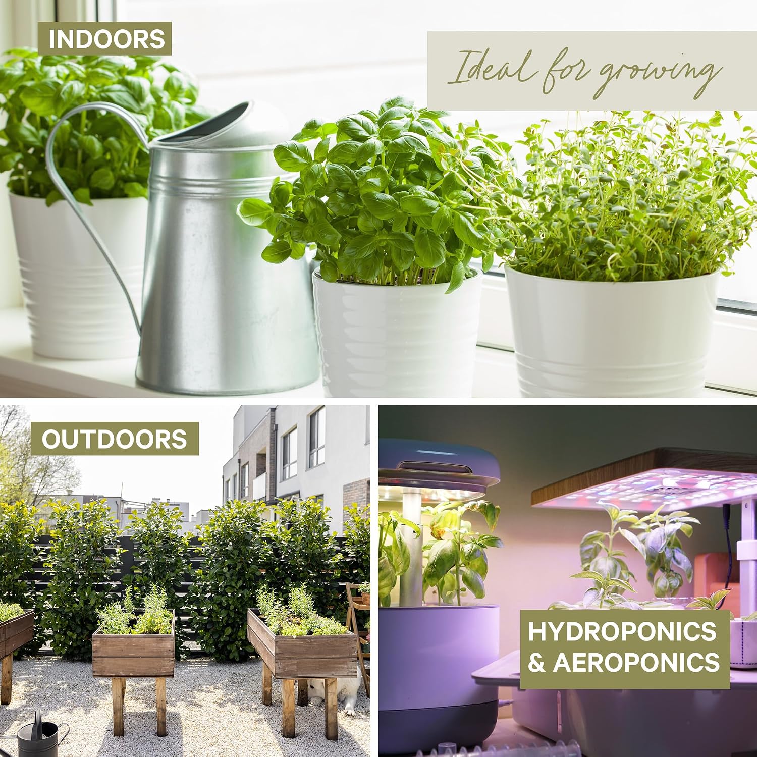 15 Certified Organic Herb Seeds Variety Pack (4X More) 10,000+ Non GMO Seeds for Planting Indoor Herb Garden or Outdoor