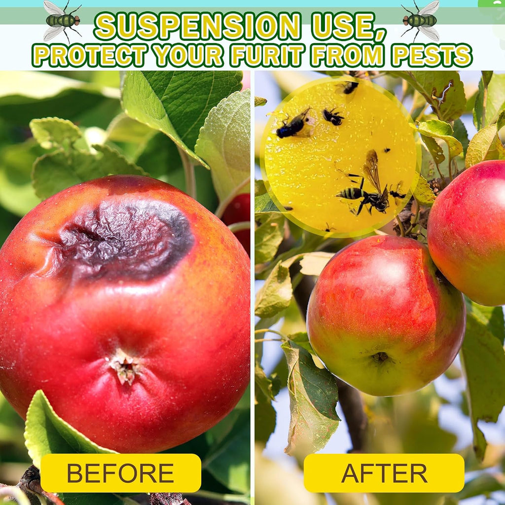 Qualirey 10 Set Fruit Fly Sticky Trap Balls Fungus Gnat Killer Bug Catcher Gnat Trap Insect Traps Indoor Outdoor Plant