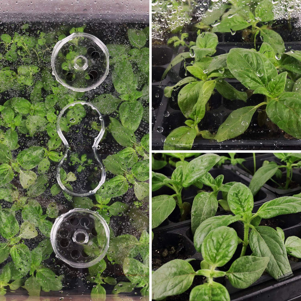 SOLIGT Thick Plastic 3-Set Strong Seed Starter Trays with 5" Humidity Domes | for Seed Starting, Germination, Seedling