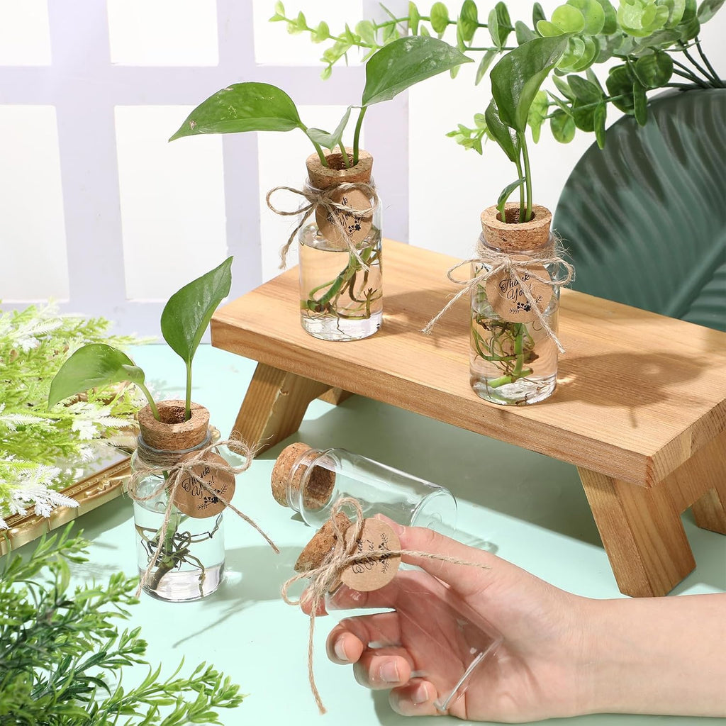 48 Pcs 3.54'' Plastic Plant Propagation Stations with Hole Lid 4oz Planter Vase Clear Propagation Jars with Thank You