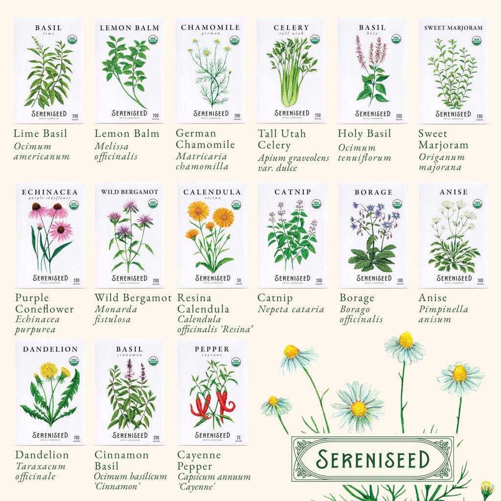 Sereniseed Certified Organic Herb Seeds 35-Pack | Non-GMO Heirloom Variety for Indoor Outdoor Culinary Gardening Gift