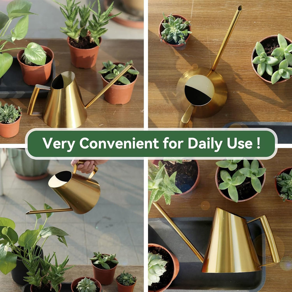 Watering Can for Indoor Plants, 13.5 Oz/400 Ml Indoor Plant Watering Can Stainless Steel Small Water Cans with Long