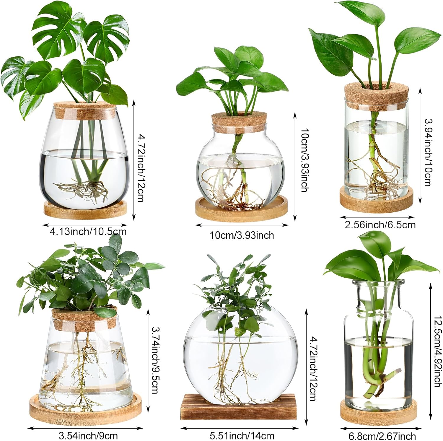 Honeydak 6 Pcs Plants Propagation Stations Planter Terrariums with Wooden Lid and Bamboo Stand Desktop Glass