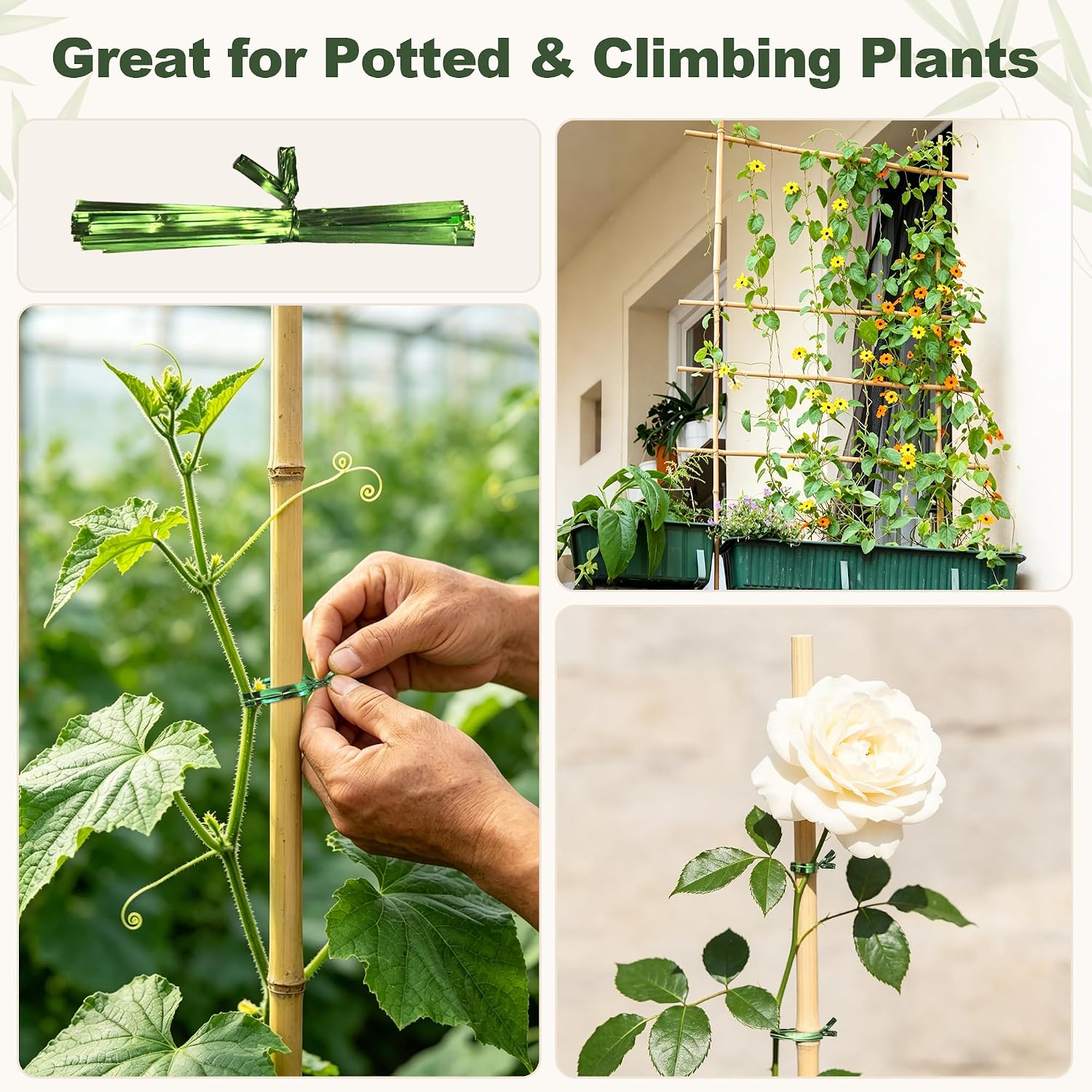 Natural Bamboo Poles, 4 Feet Bamboo Sticks for Plants, Wood Garden Stakes for Tomato, Bean, Flowers, Trees Potted and