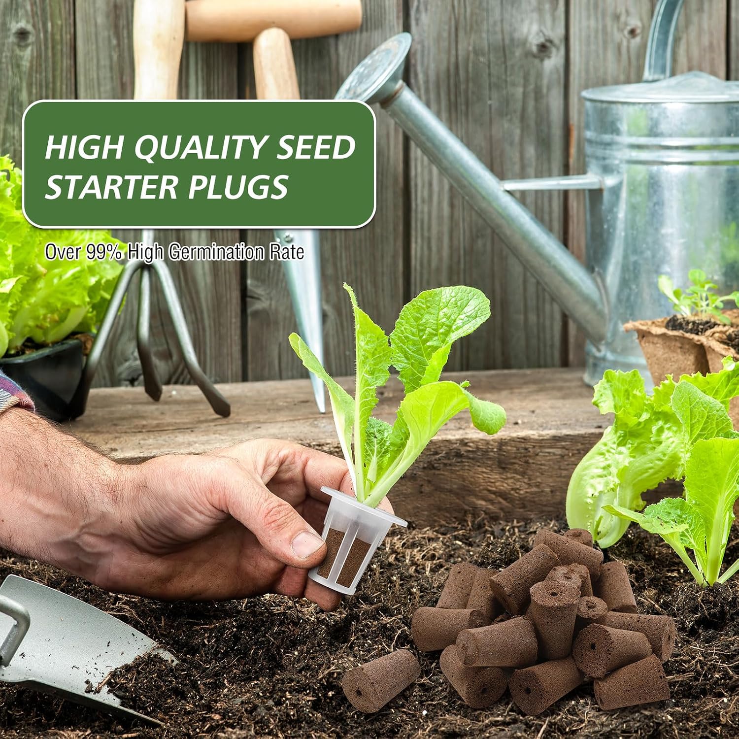 200 Pcs Grow Sponges Pods Kit, Includes 100 Grow Sponges, 100 Root Plant Basket, Root Growing Kit Replacement Pod Cups