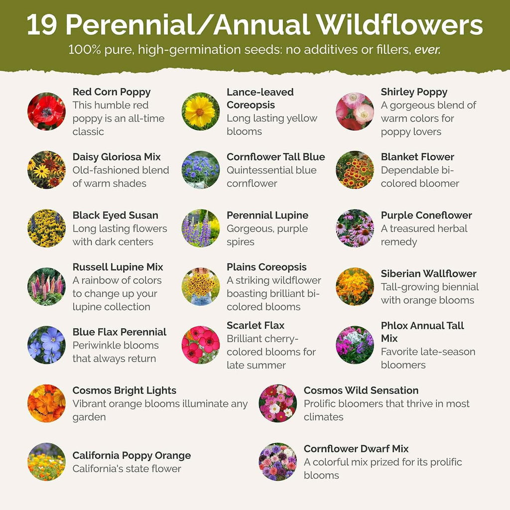Eden Brothers New York Wildflower Mixed Seeds for Planting, 1 lb | 480,000+ Seeds with Coneflower, Cosmos, Attracts