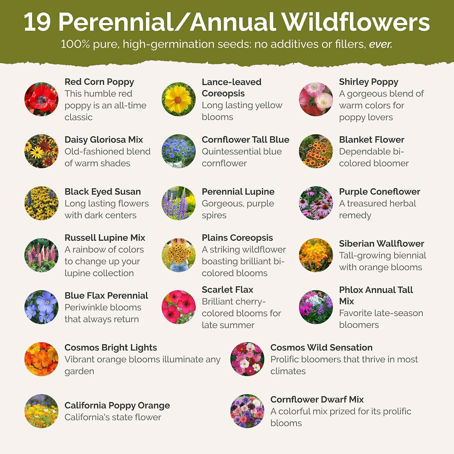 Eden Brothers New York Wildflower Mixed Seeds for Planting, 1 lb | 480,000+ Seeds with Coneflower, Cosmos, Attracts