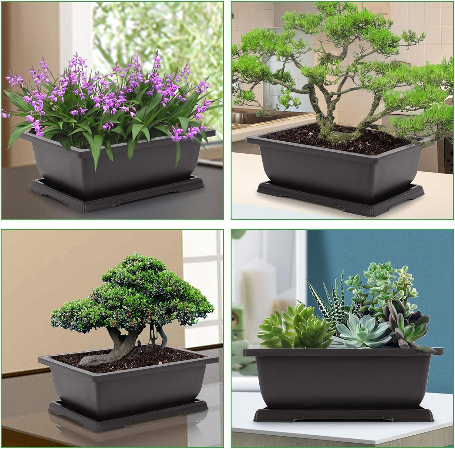 GROWNEER Bonsai Pots 3 Packs 11 Inch Bonsai Tree Training Pot with Humidity Drainage Trays & Repotting Mat Rectangle