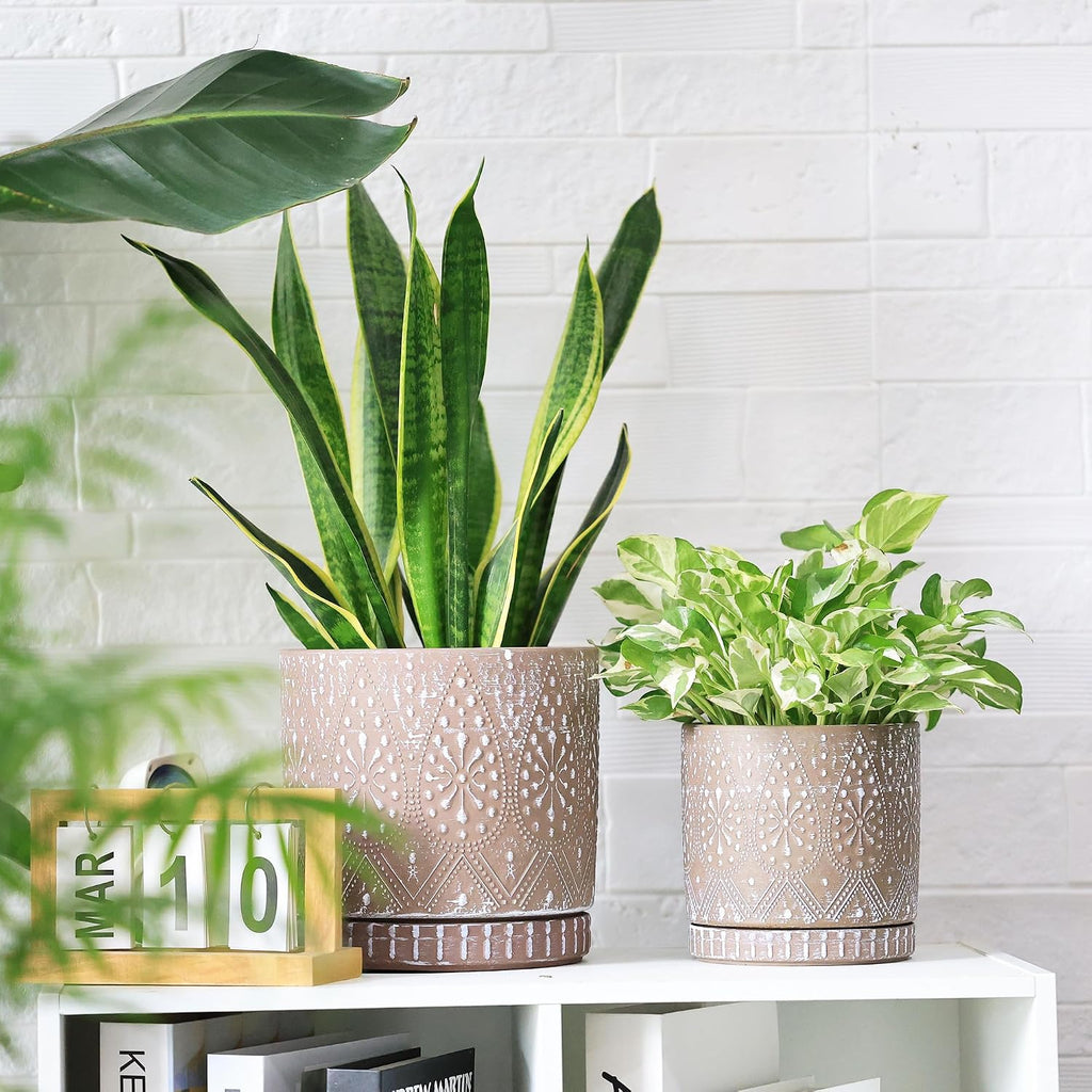 8 Inch + 6 Inch Plant Pot with Drainage Holes and Saucers, Indoor Ceramic Planter for Plants Succulent Orchid Flower