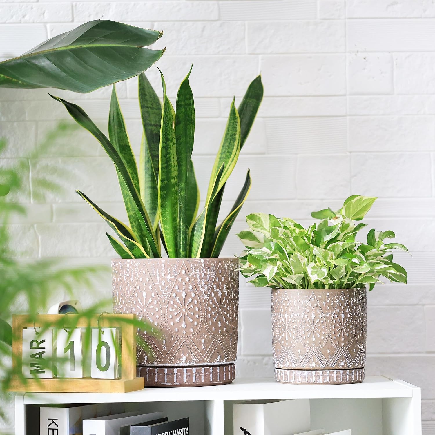 8 Inch + 6 Inch Plant Pot with Drainage Holes and Saucers, Indoor Ceramic Planter for Plants Succulent Orchid Flower