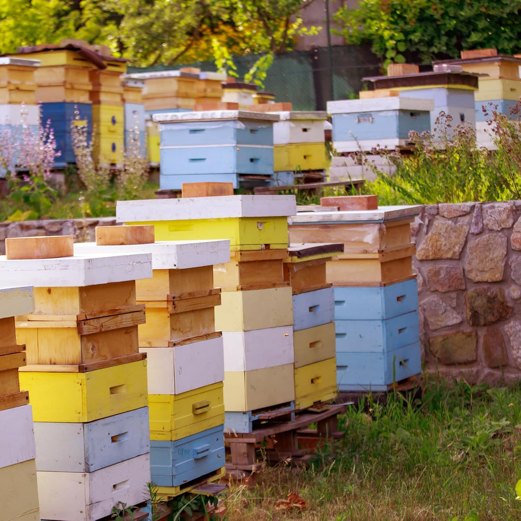 CroBlissful 2 Pcs 10 Frame Bee Hive Box Including Medium Super Beehive Box and Deep Brood Wooden Frames Bee Hives