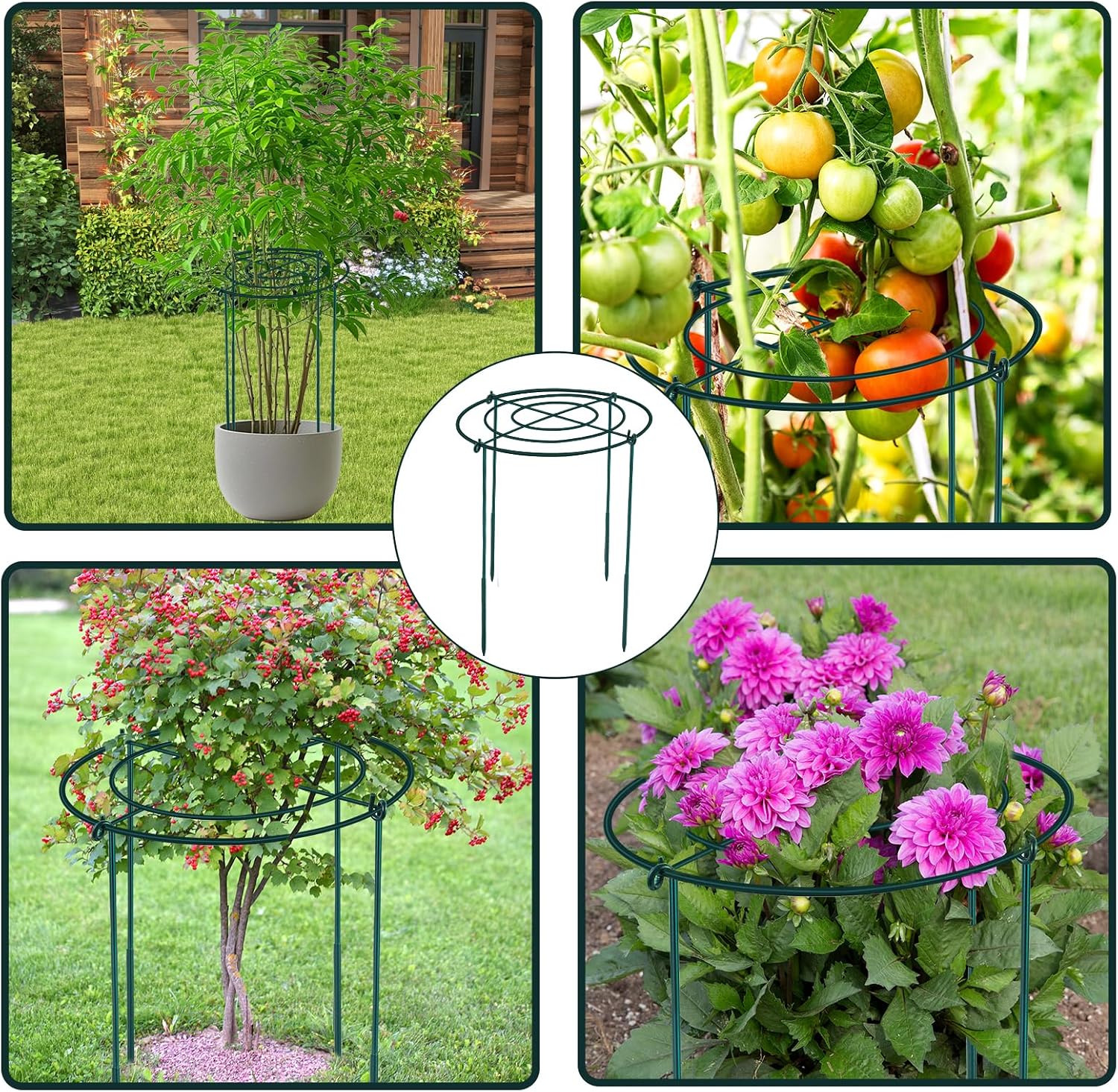 2Set Metal Peony Grid Cages, 30"H X 13"D Large Flower Support Cages Grow Through Hoop Ring Peony Stakes Garden Plant