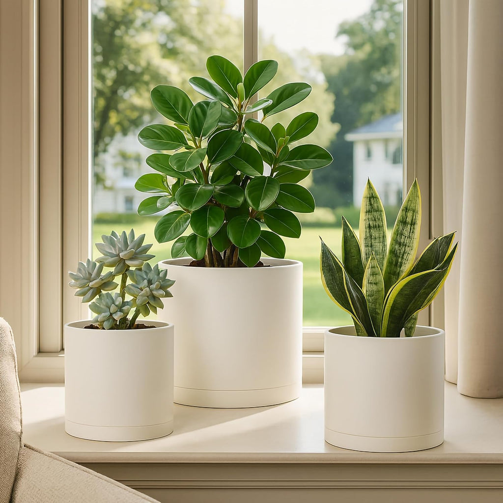 D'vine Dev 3-Pack Plastic Pots & Saucers, 6/6.5/8 in, Oatmeal, 74-V-H-3 | Multi-Size Options, Lightweight Durable
