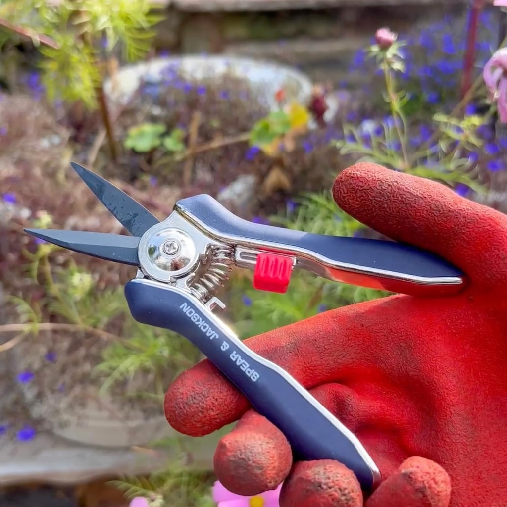 Spear & Jackson Razorsharp Mini Pruner Set for Small Garden Tasks and Bonsai Care, 2 Piece Precision Compact