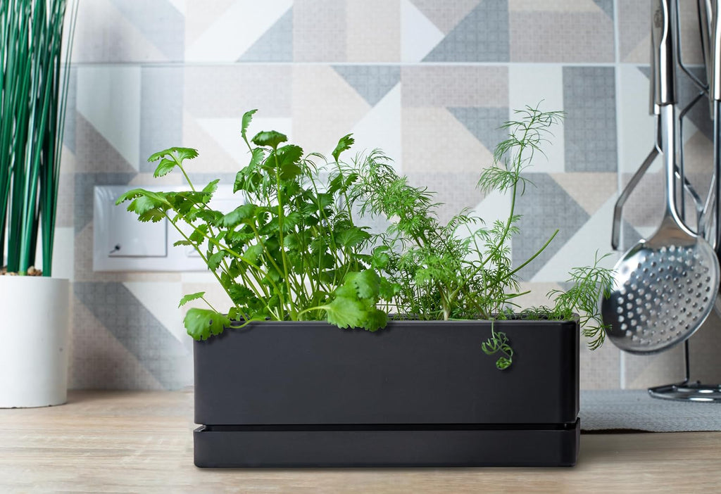D'vine Dev 2-Pack Rectangular Planters, 12 x 4.5 in, Black, 76-X-B-2 | Minimalist Design, Large Planting Capacity