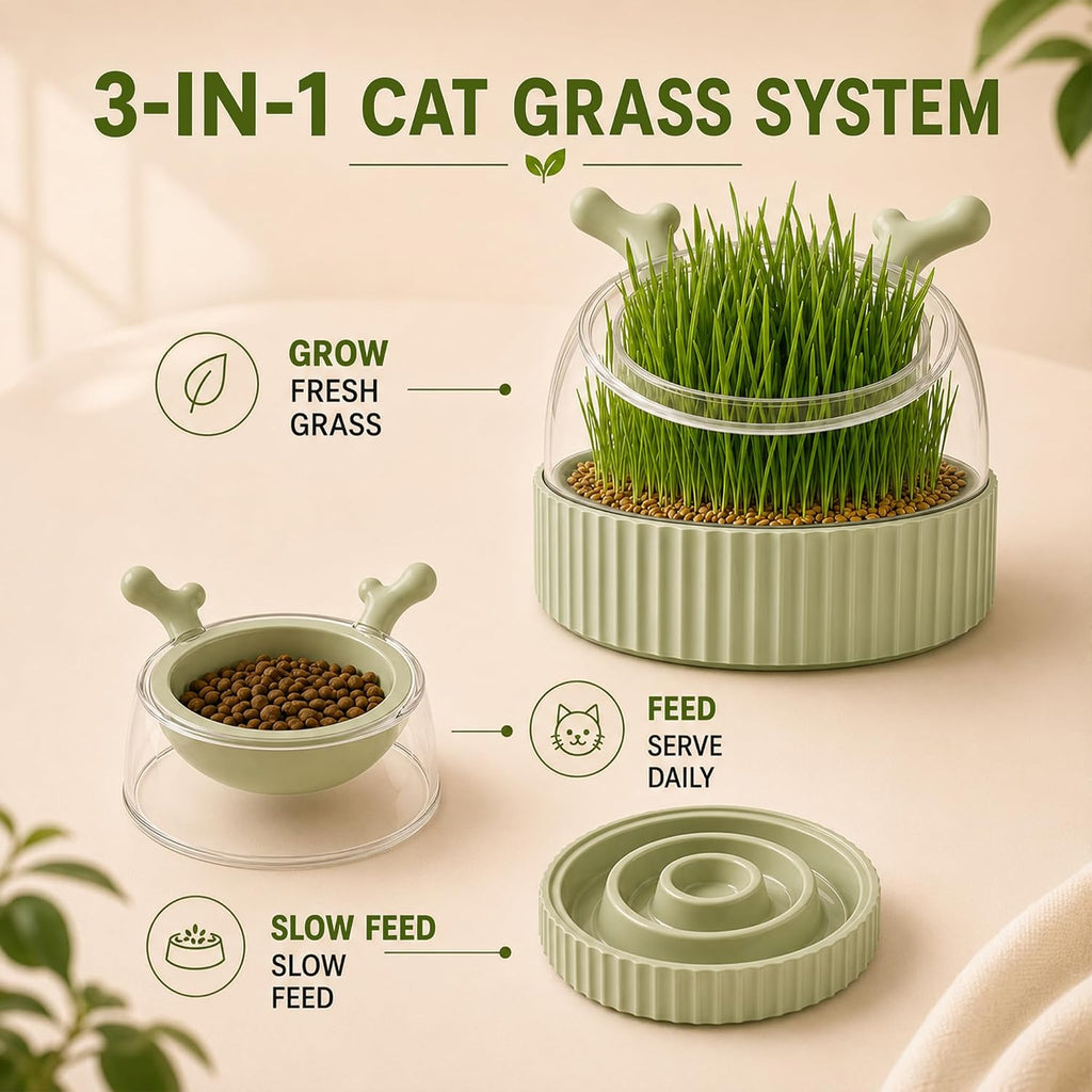3-in-1 Slow Feeder Bowl, Cat Grass Growing Kit & Elevated Cat Food Bowl, | with Clear Germination Dome Splash Guard, 6