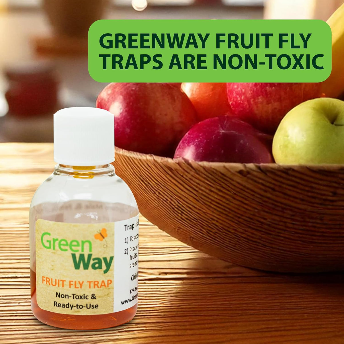 Greenway Traps Fruit Fly Trap, Indoor and Kitchen, 2 Packs (4 Traps) | Reduced Fruit Fly Infestations, Non-Toxic