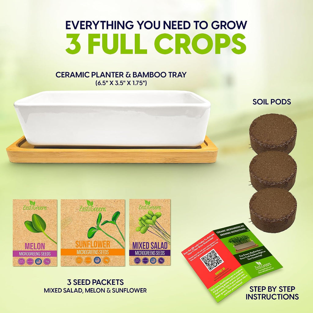 Ceramic Microgreens Growing Kit with Sunflower, Melon & Mixed Seeds | Ceramic indoor kit with sunflower, melon and