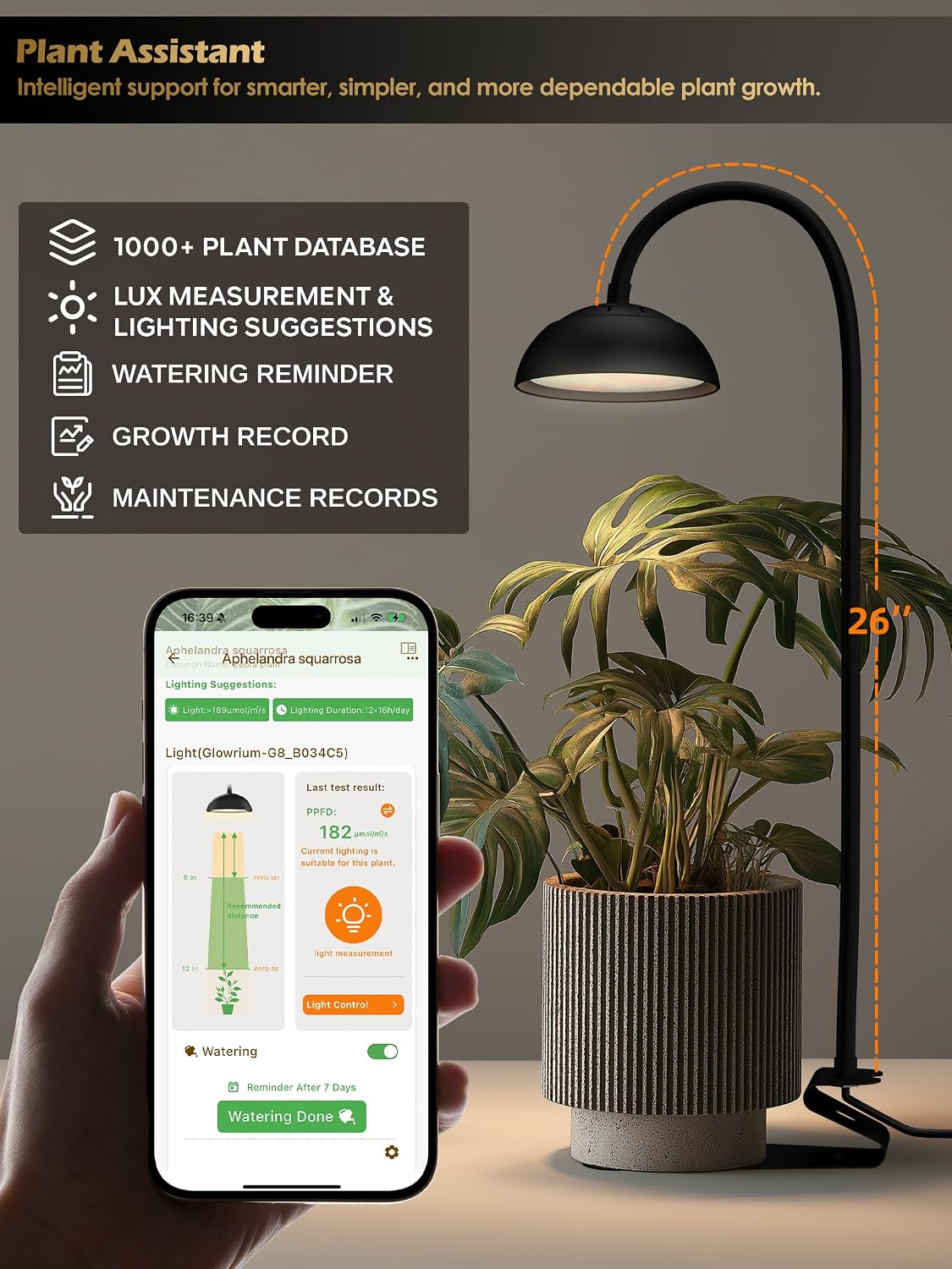 Smart Grow Light for Indoor Plants, Full Spectrum Plant Grow Light | 10W LED Plant Light with 3/9/12 Timer, Smart