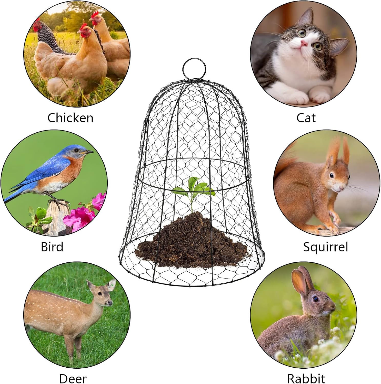 Coloch 5 Pack Garden Chicken Wire Cloche, 16x 13 Inches Black Dome Plant Protector Cover Strong Metal Garden Cloches