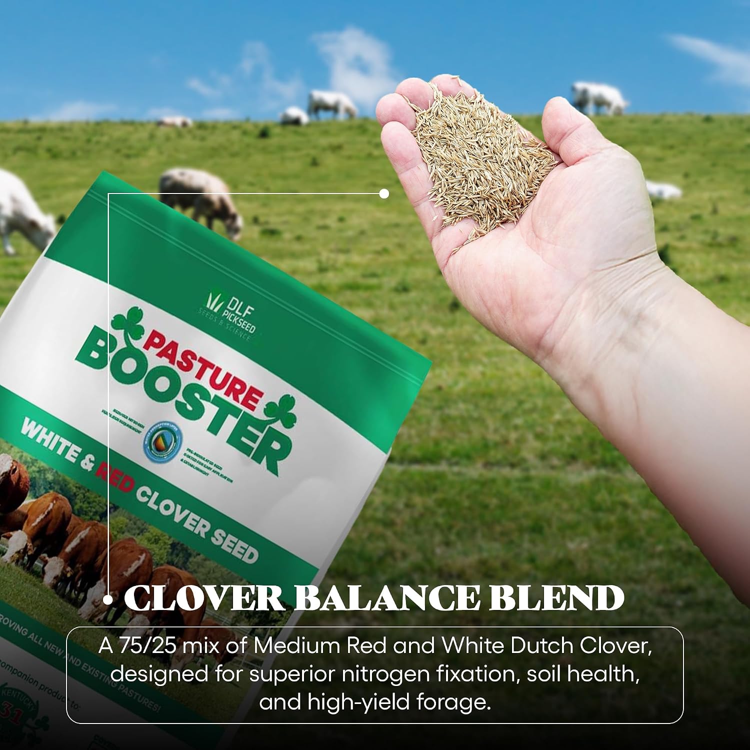 DLF Pasture Booster Clover Seed Mixture - Premium Clover Seed for Pastures, Livestock, Horses, Providing Protein &