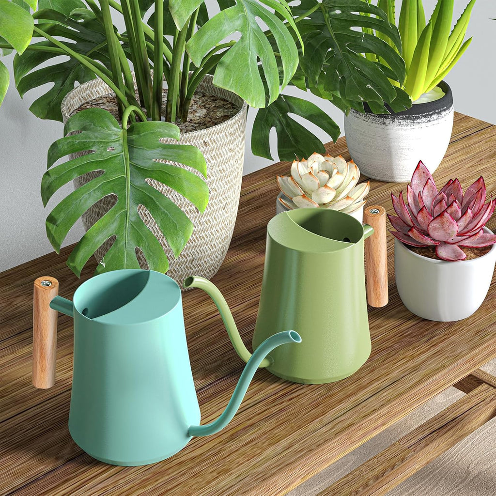 1L/35oz Metal Watering Can Indoor with Long Spout, Sage Green | Metal Stainless Steel Watering Can with Wood Handle for
