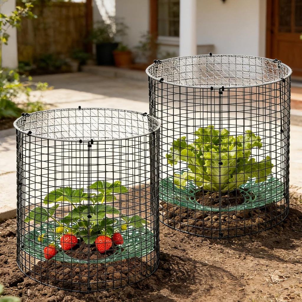 6 Pack Round Upgraded Strawberry Supports with Wire Covers Plant Protectors from Animal - All-in-One Garden Protection