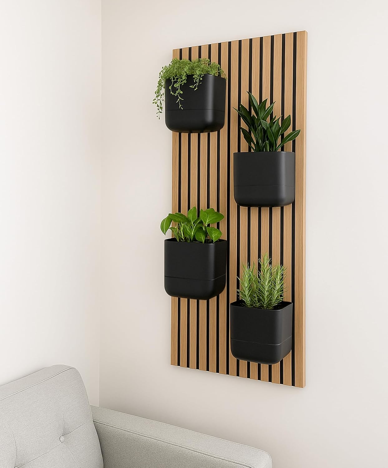 Phoenix Vine 6.5 Inch Wall Mounted Self-Watering Planter Pot for Indoor Houseplants and Herbs | Hanging Planter for