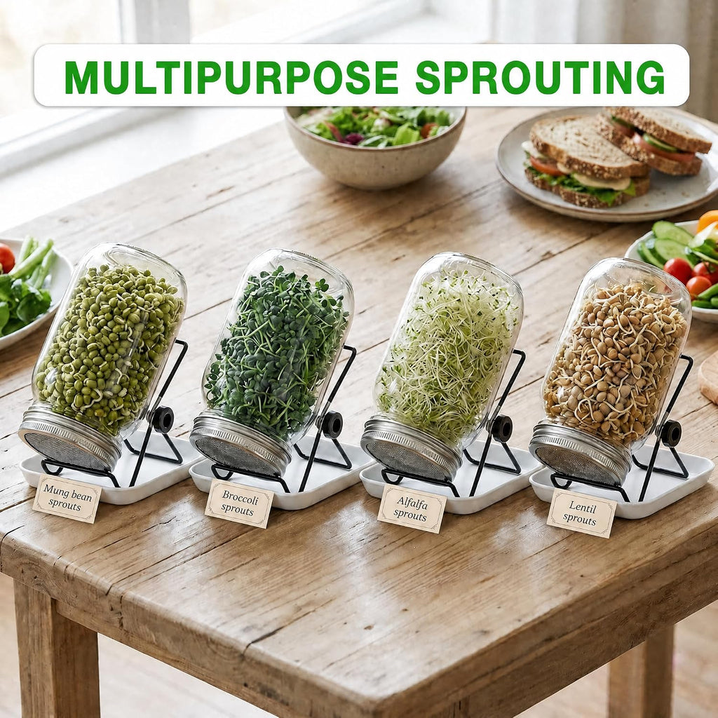 4 Large 1000ML Wide Mouth Mason Jar Sprouting Kit, with Stainless Steel Stand, Drain Tray & Cleaning Brush, High