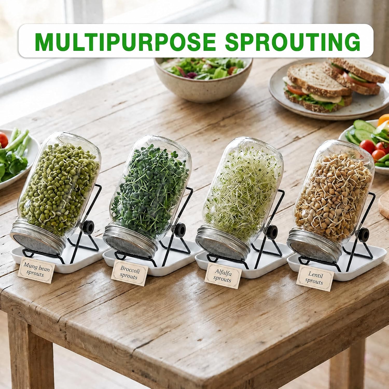 4 Large 1000ML Wide Mouth Mason Jar Sprouting Kit, with Stainless Steel Stand, Drain Tray & Cleaning Brush, High