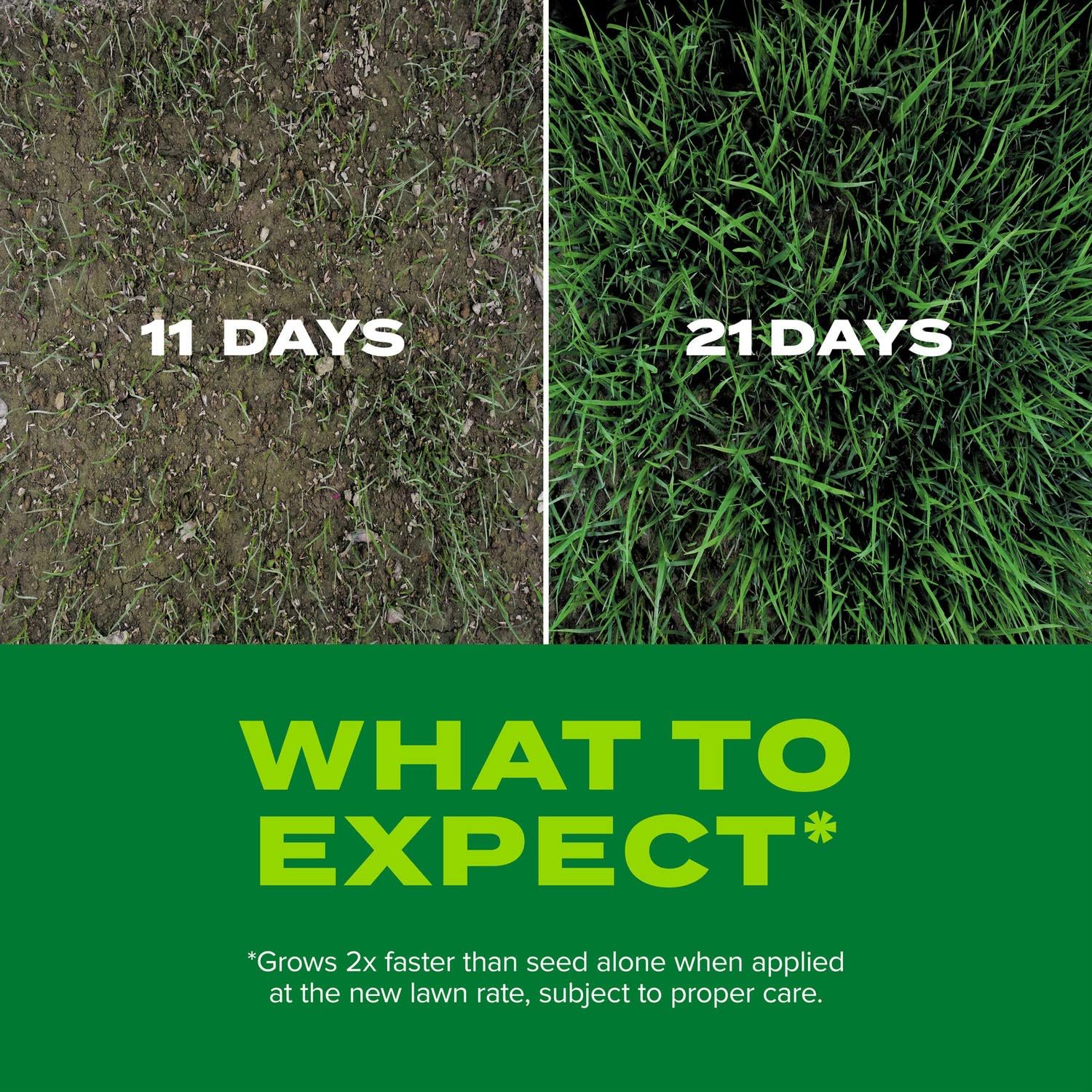 Scotts Turf Builder Rapid Grass Tall Fescue Mix, 5.6 lbs. | Combination Grass Seed and Fertilizer for Lawns, Lawn Seed