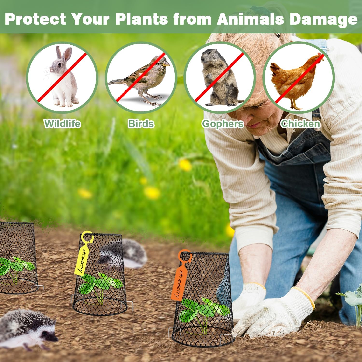 10 Pcs 6.8"×7.4" (Multiple Sizes/Quantities Available) Seedling Plant Protectors from Animals, Chicken Wire Plant Cage