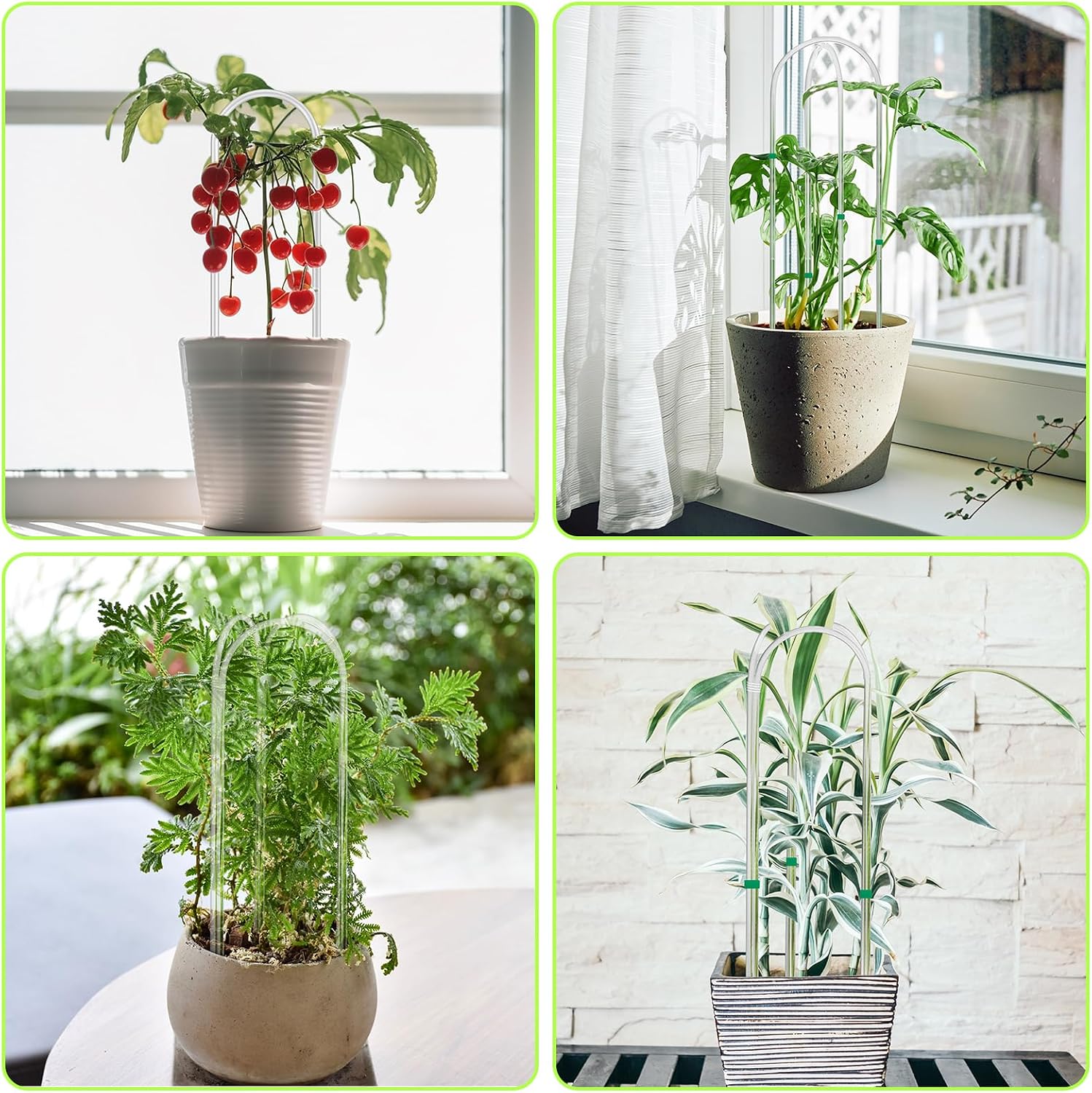 6 Pack U-Shape Acrylic Plant Trellis for Indoor Climbing Plants, 16 Inch Small Plant Trellis, Potted Plant Climber