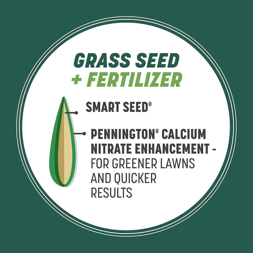 Pennington Smart Seed Sun & Shade Mix South, Tall Fescue Grass Seeds for Lawn, 4/7 lb