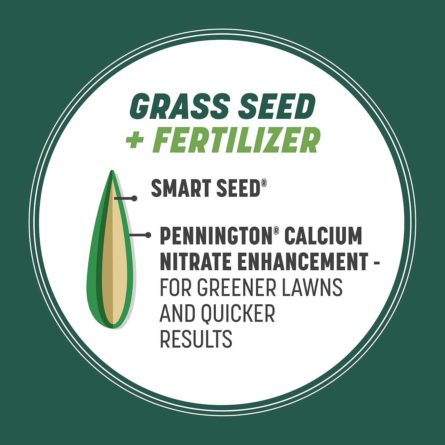 Pennington Smart Seed Sun & Shade Mix South, Tall Fescue Grass Seeds for Lawn, 4/7 lb