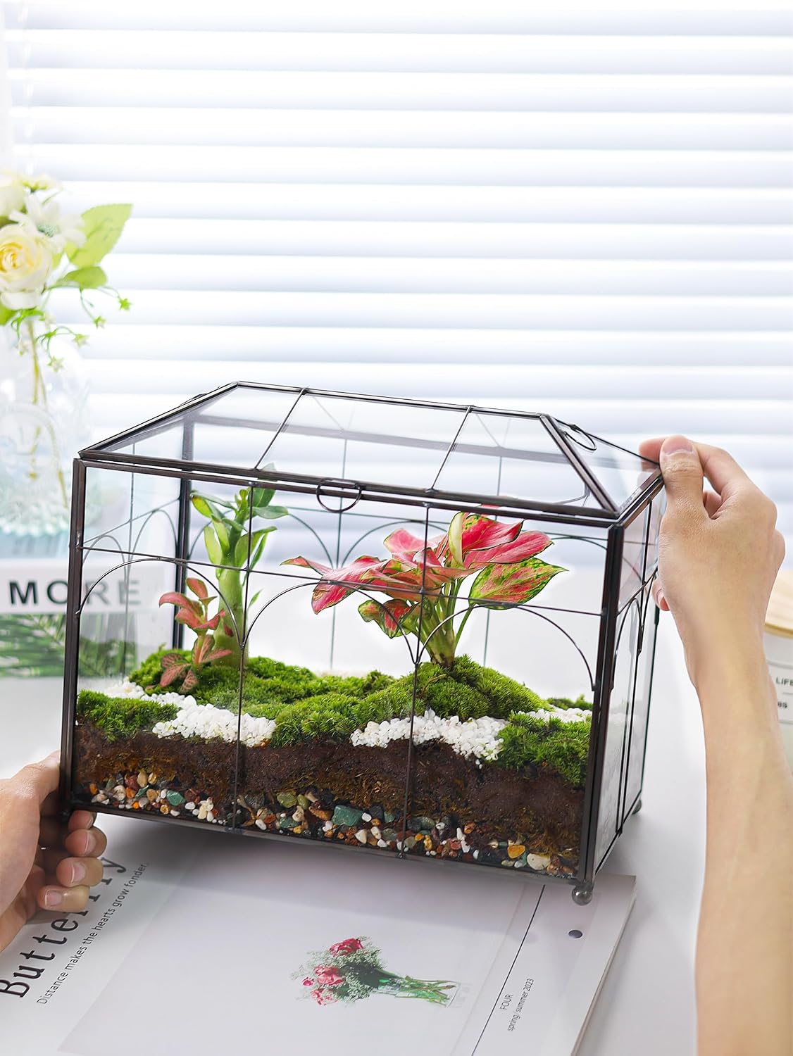 REDHUGO Glass Planter Terrarium with Lid, Indoor Display Box, Black | Handmade Glass Terrarium with Lid for Succulents