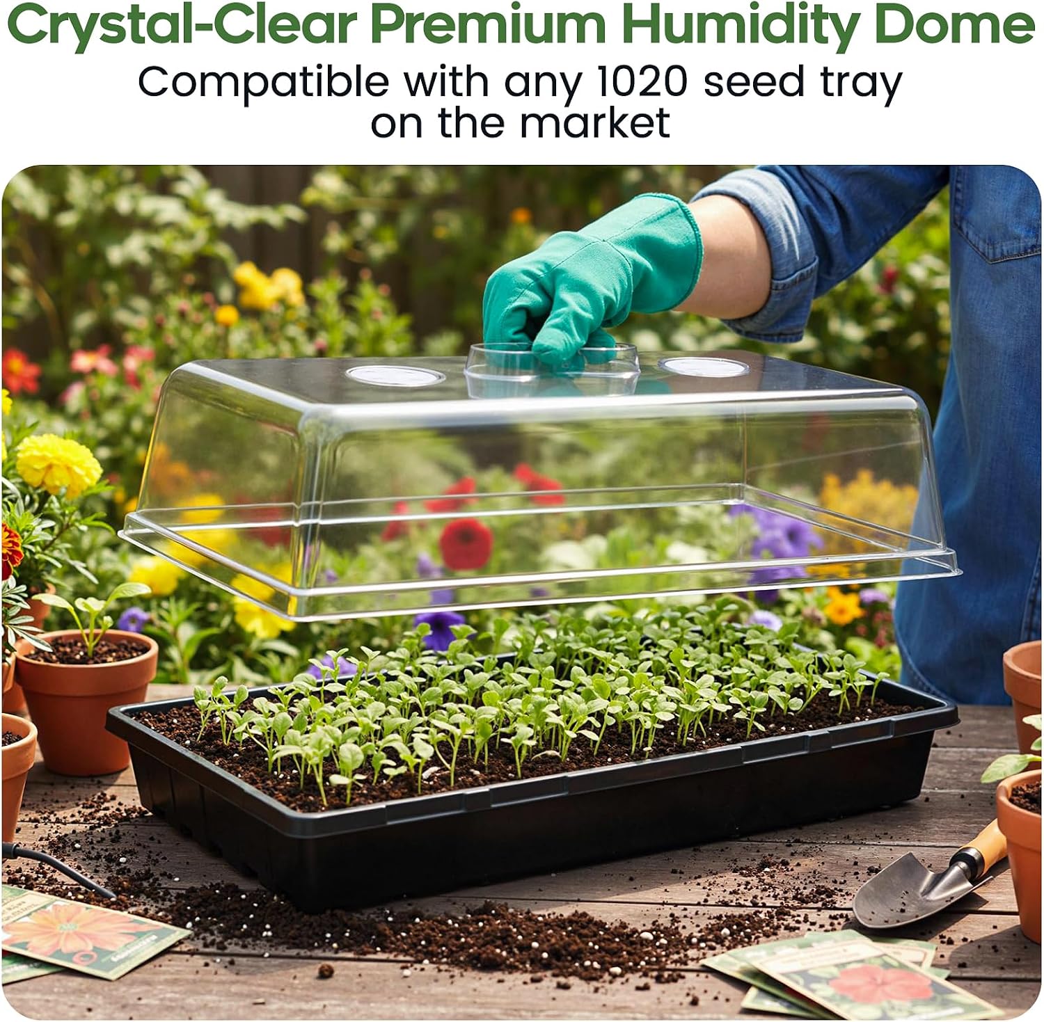 ZJP 20-Pack Heavy Duty 1020 Seed Starter Trays with 5" Humidity Domes, Thick Plant Propagation Trays with Clear Domes