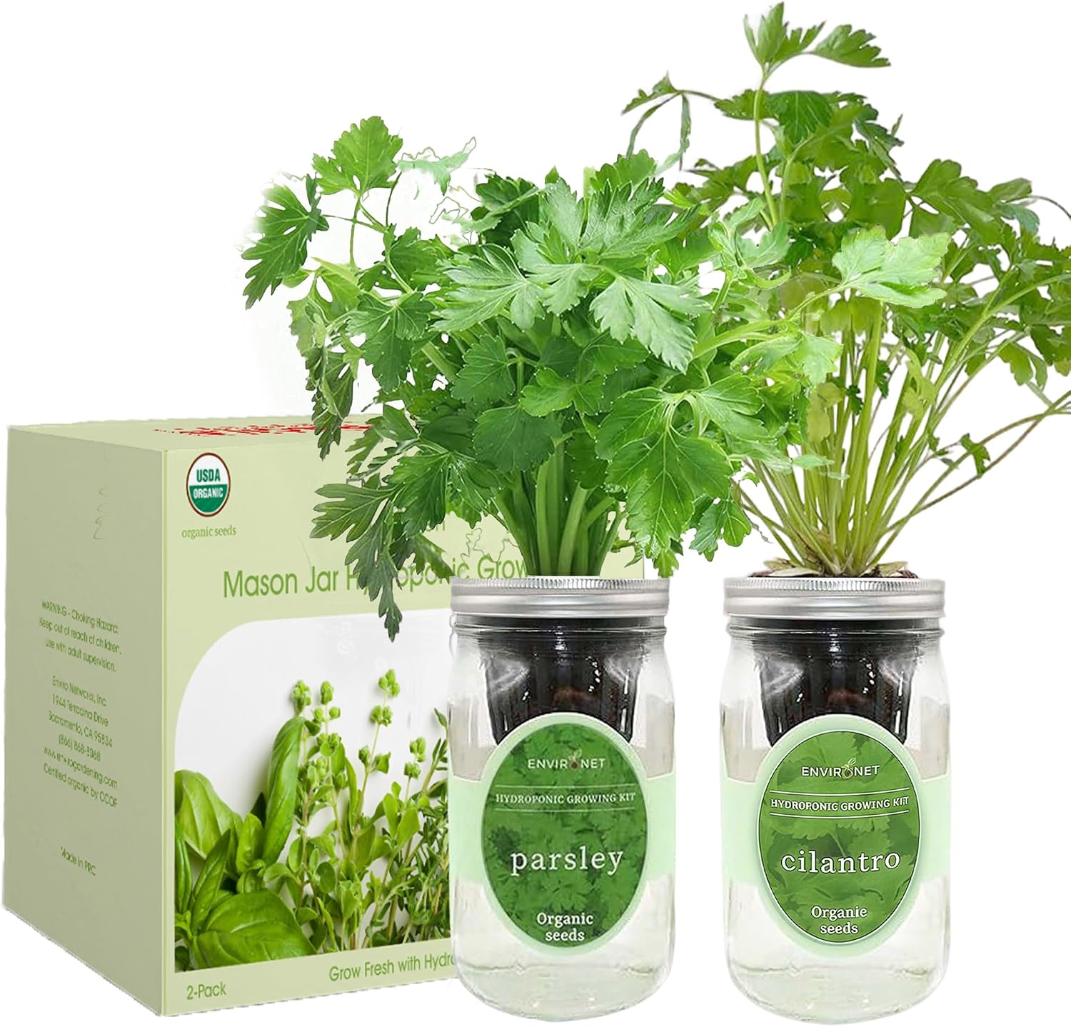 2-Pack Hydroponic Mason Jar Herb Garden Kit, Indoor Herb Garden Self-Watering Starter Kit (Parsley,Cilantro)