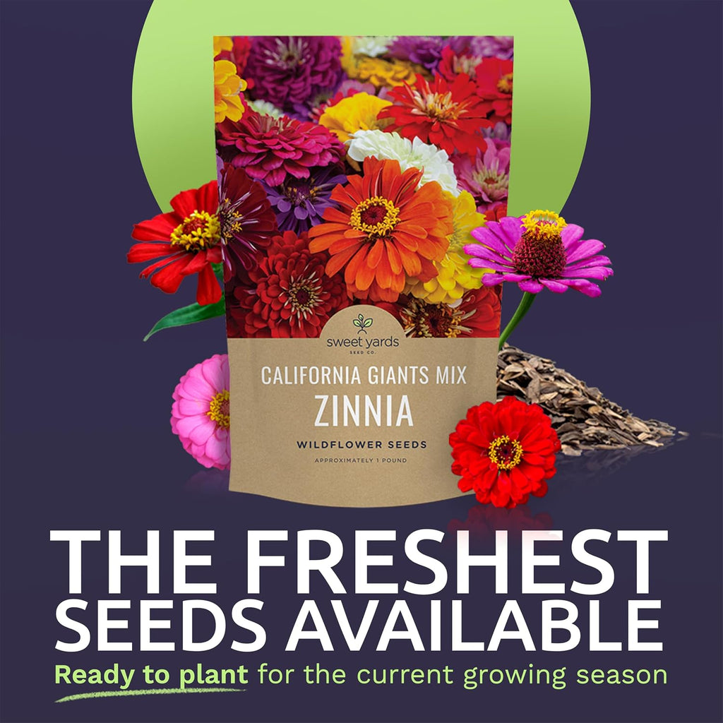 Bulk Zinnia Seeds - California Giants Mix - 1 Pound Bag Over 48,000 Flower Seeds - Mixed Colors and Large Blooms
